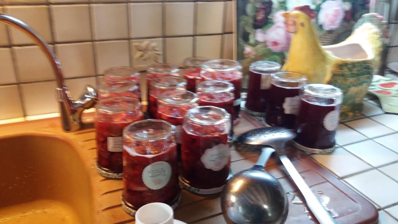 La Rouquette Le Moulin Des Cavaliers B&B 외부 사진